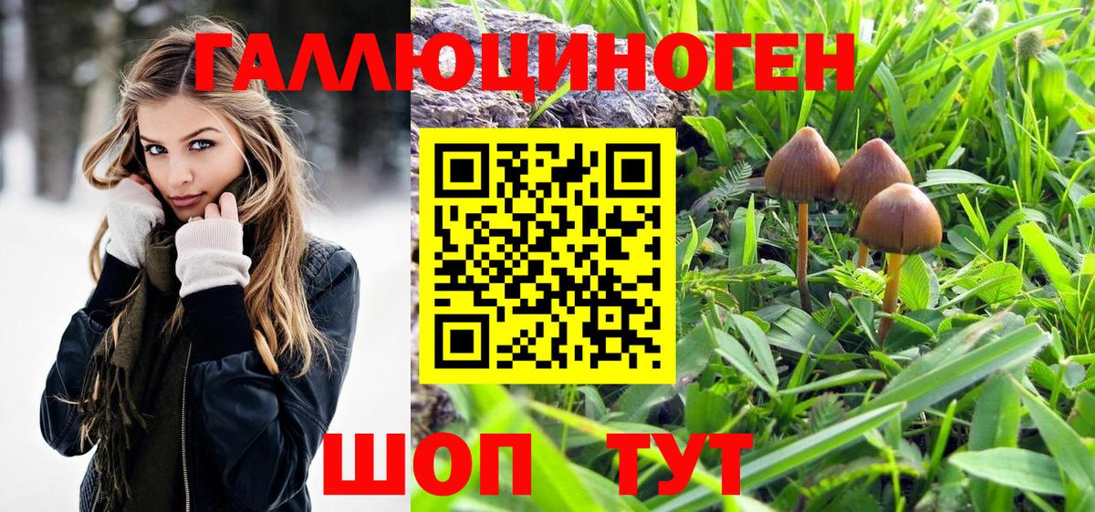 Пыть-Ях  Галлюциногенные грибы Cubensis  Вход с VPN 