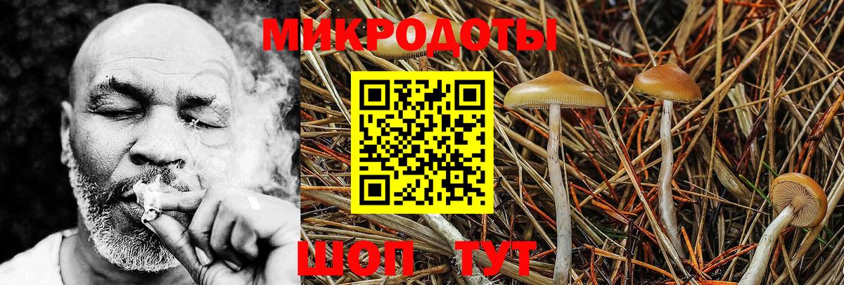 Псилоцибиновые грибы Magic Shrooms Пыть-Ях